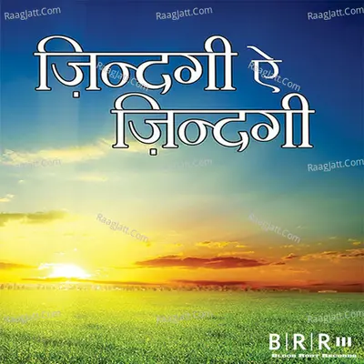 Zindagi E Zindagi Poster