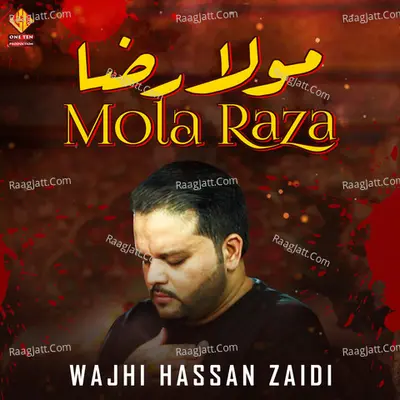 Mola Raza - Wajhi Hassan Zaidi