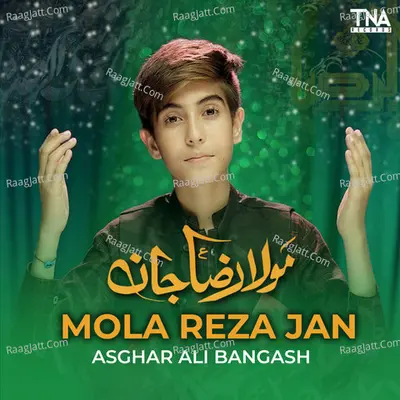 Mola Reza Jan - Single