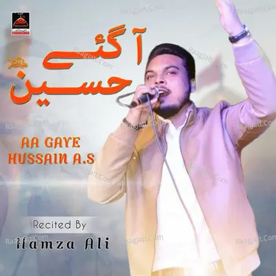 Hamza Ali Image