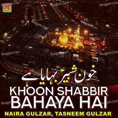 Khoon Shabbir Bahaya Hai - Naira Gulzar