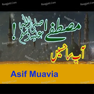Hafiz Saleem Zain Image