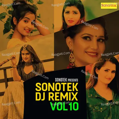 Sonotek DJ Remix Vol 10 Poster