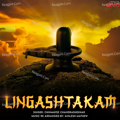 Lingashtakam