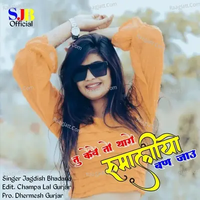 Tu keve to tharo rumaliyo ban jau Cover
