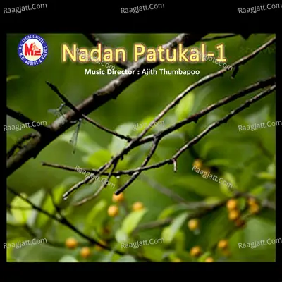 Nadan Patukal, Vol. 1 - Pranavam Sasi