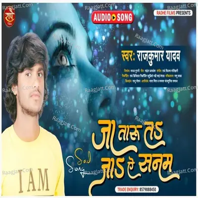 Ja Taru T Ja Ye Sanam Cover