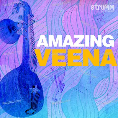 Amazing Veena Poster