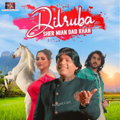 Dilruba - Single Cover