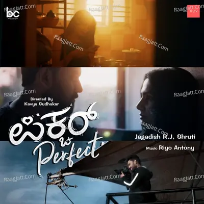 Picture Perfect Poster