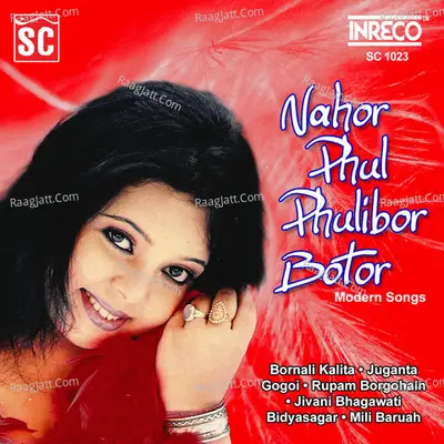 Nahor Phul Phulibor Botor Poster