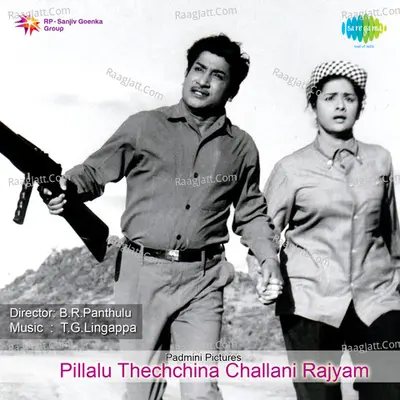Pillalu Thechchina Rajyam Cover