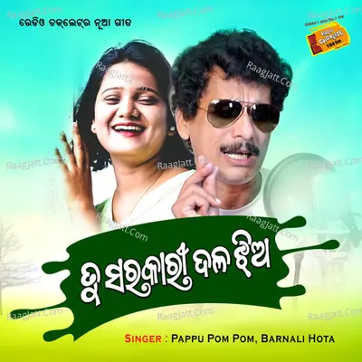 Tu Sarakari Dala Jhia Cover