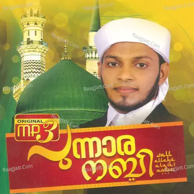 Punaara Nabi Vol 2 - Abdul Saleem