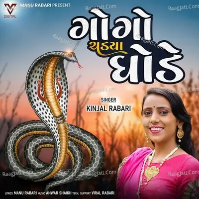 Kinjal Rabari Image