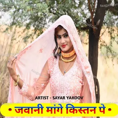 Jawani Mange Kistan Pe Poster