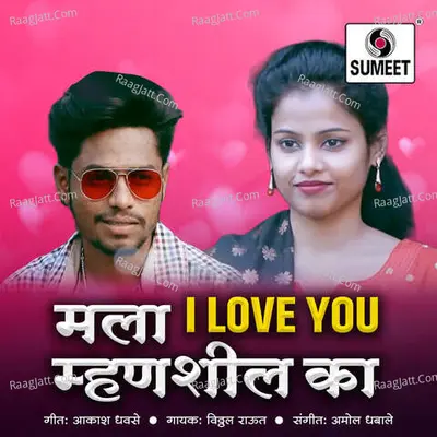 Mala I Love You Mhanshil Ka Cover