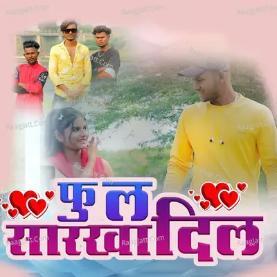 Phul Sarkha Dil Cover