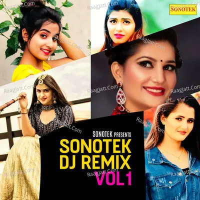 Sonotek DJ Remix Vol 1 Poster