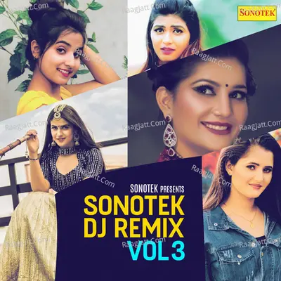 Sonotek DJ Remix Vol 3 Poster