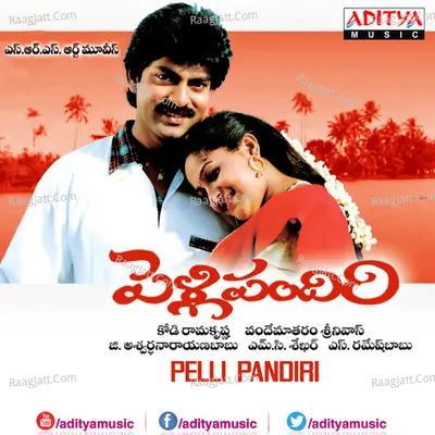 Pelli Pandiri Poster