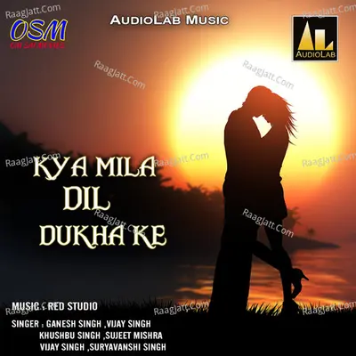 Kya Mila Dil Dukha Ke Poster