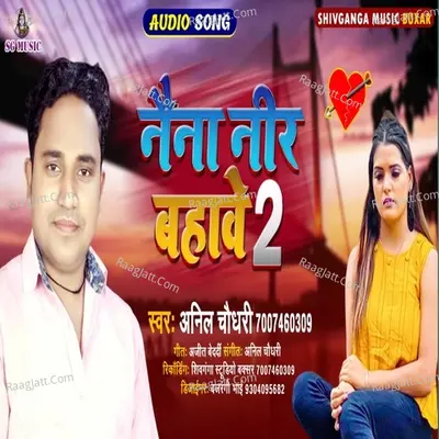 Anil Chaudhari