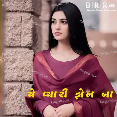 Ye Pyari Jhel Ja Poster