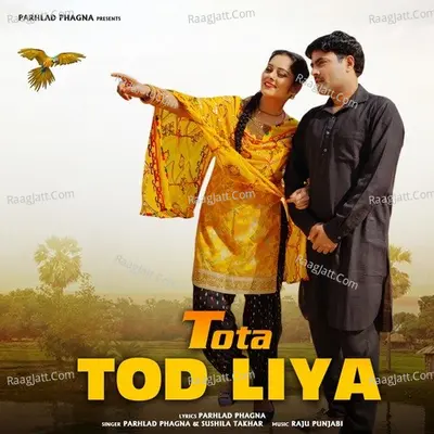Tota Tod Liya Cover