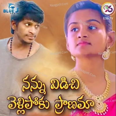 Nannu Vidichi VelliPoku Pranama Cover