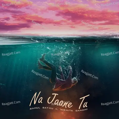 Na Jaane Tu Cover
