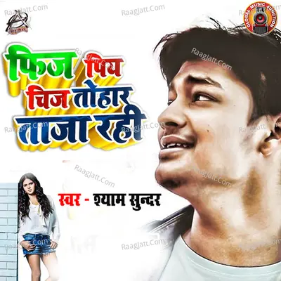 Fizz Piya Chiz Tohar Taja Rahi - Single Cover
