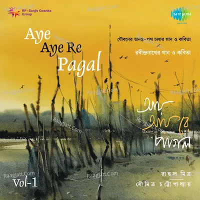 Aye Aye Re Pagal - Rahul Mitra CD-1 - Rahul Mitra