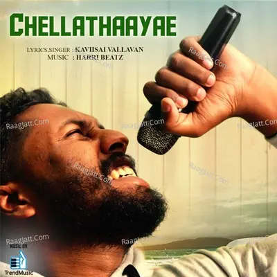 Chellathaayae Cover