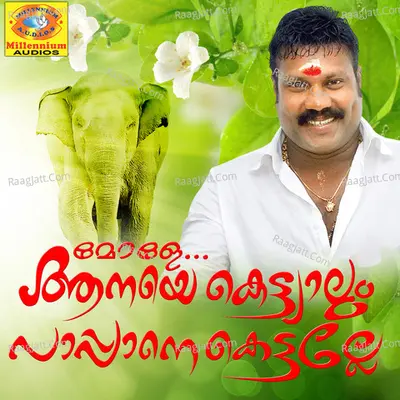 Mole Aanaye Kettiyalum Pappane Kettalle - Kalabhavan Mani