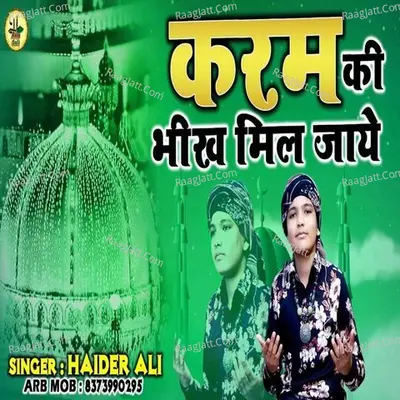 Haider Ali Image