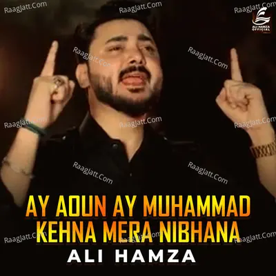 Ali Hamza Image
