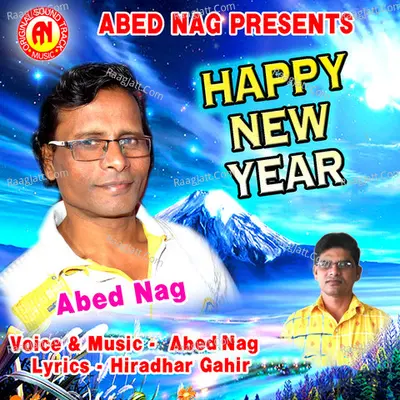Happy New Year Cover