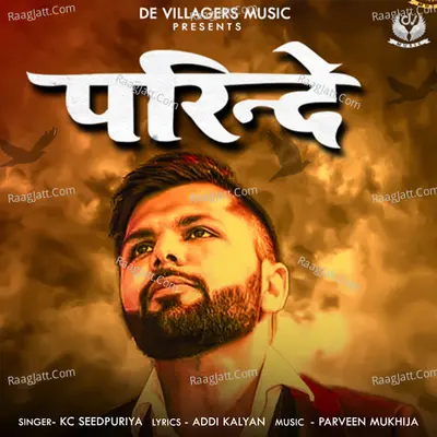 Parindey - Single Cover