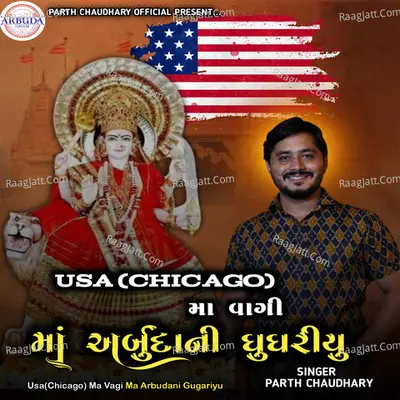 Parth Chaudhary Image
