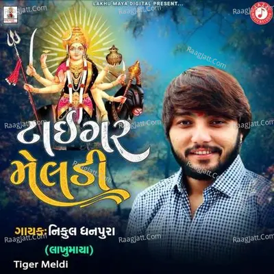 Tiger Meldi Cover