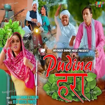 Ravinder Shamdi Image