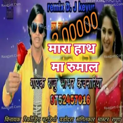 Raju Bhabhar Image