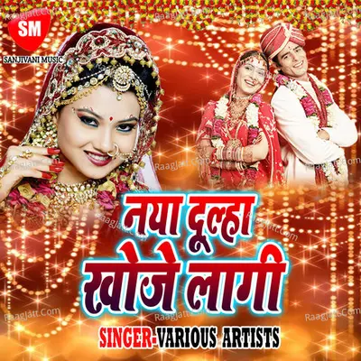 Naya Dulha Khoje Lagli Poster