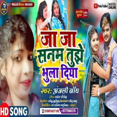 Ja Ja Sanam Tujhe Bhula Diya Cover