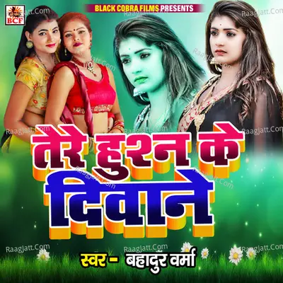 Bahadur Verma Image