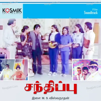 Sandhippu - M. S. Viswanathan