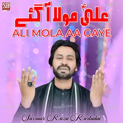 Ali Mola Aa Gaye Poster