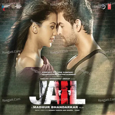 Jail Poster
