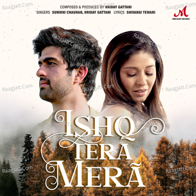 Ishq Tera Mera Cover